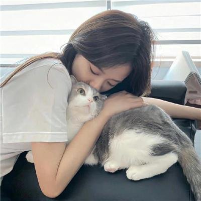 捣蛋的公鸡